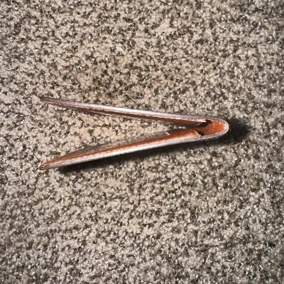 Louis Vuitton Card Holder